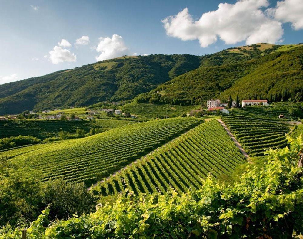 Follinetta10 - Enjoy Holiday Home In The Prosecco Hills Follina Ngoại thất bức ảnh